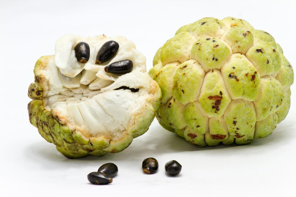 Custard Apple Farm House Export (Pvt.) Limited